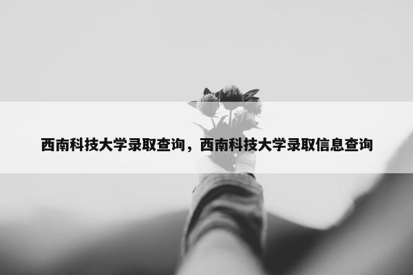 西南科技大学录取查询，西南科技大学录取信息查询