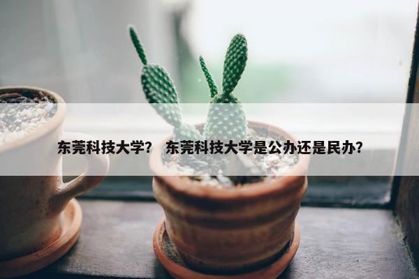 东莞科技大学？ 东莞科技大学是公办还是民办？