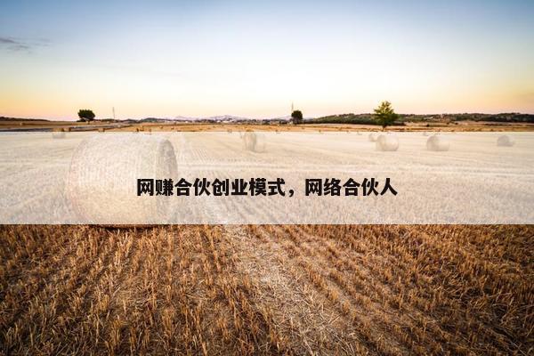 网赚合伙创业模式,网络合伙人 网赚合伙创业模式,网络合伙人