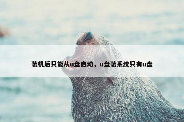 装机后只能从u盘启动,u盘装系统只有u盘 装机后只能从u盘启动,u盘装系统只有u盘
