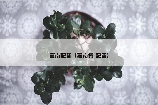 嘉南配音（嘉南传 配音）