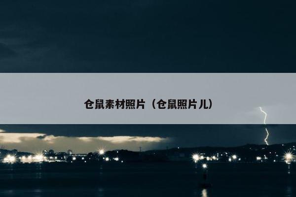 仓鼠素材照片（仓鼠照片儿）