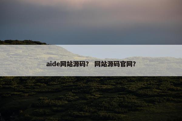 aide网站源码？ 网站源码官网？