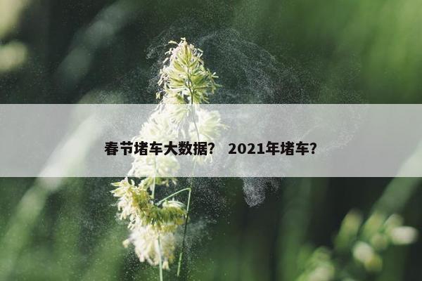 春节堵车大数据？ 2021年堵车？