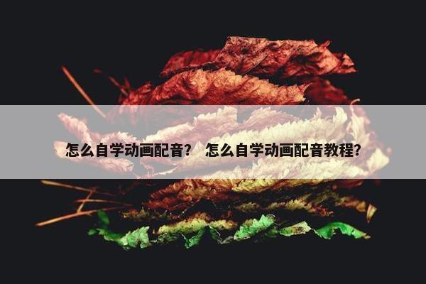 怎么自学动画配音？ 怎么自学动画配音教程？
