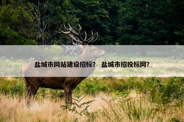 盐城市网站建设招标？ 盐城市招投标网？