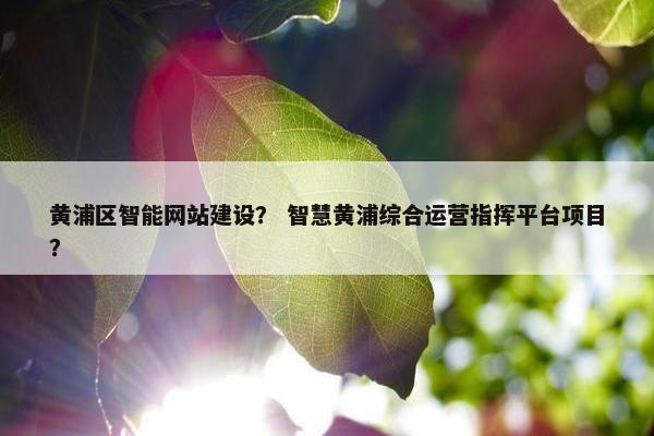 黄浦区智能网站建设？ 智慧黄浦综合运营指挥平台项目？