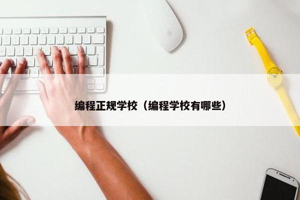 编程正规学校（编程学校有哪些）