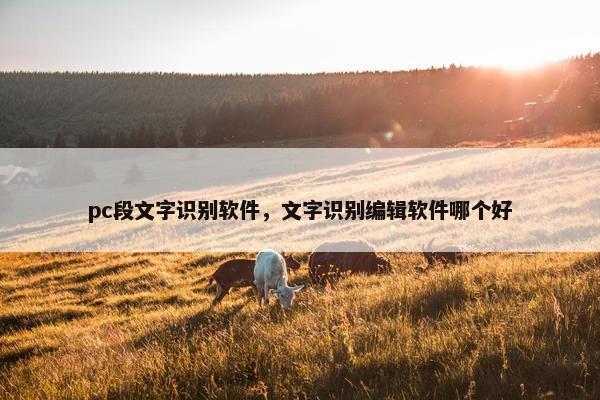 pc段文字识别软件，文字识别编辑软件哪个好
