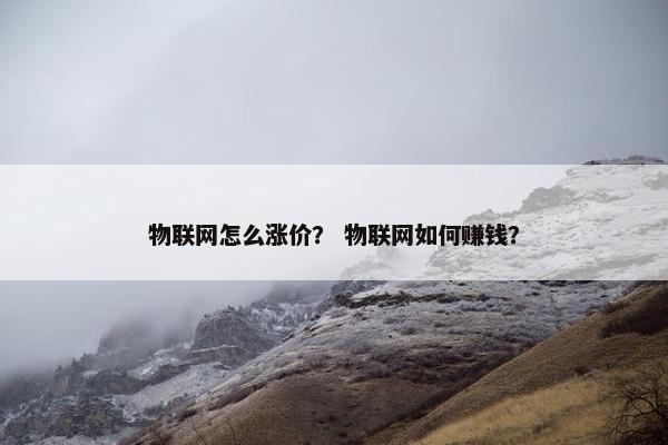 物联网怎么涨价？ 物联网如何赚钱？