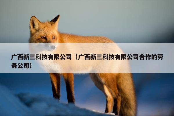 广西新三科技有限公司(广西新三科技有限公司合作的劳务公司) 广西新三科技有限公司(广西新三科技有限公司合作的劳务公司)