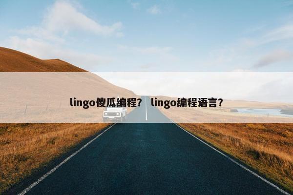 lingo傻瓜编程？ lingo编程语言？