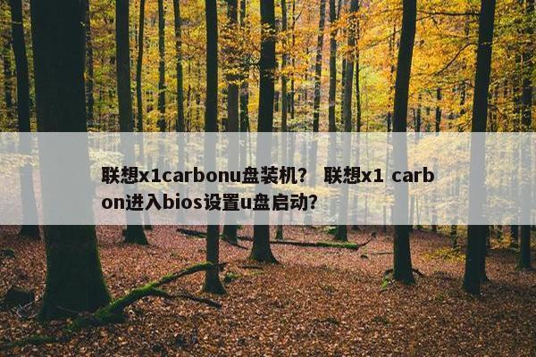 联想x1carbonu盘装机？ 联想x1 carbon进入bios设置u盘启动？