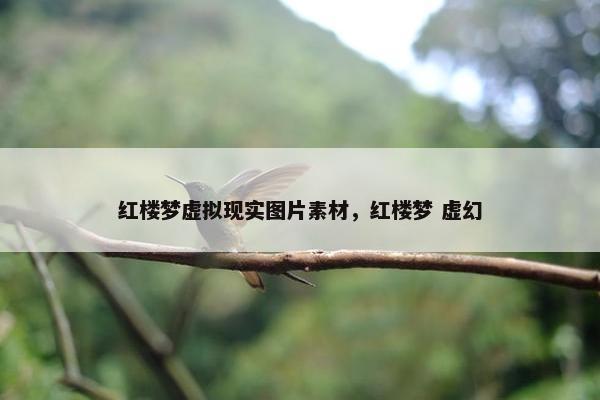 红楼梦虚拟现实图片素材,红楼梦 虚幻 红楼梦虚拟现实图片素材,红楼梦 虚幻