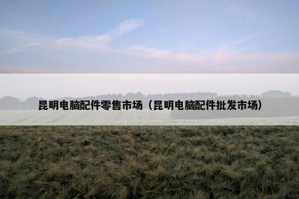 昆明电脑配件零售市场(昆明电脑配件批发市场) 昆明电脑配件零售市场(昆明电脑配件批发市场)