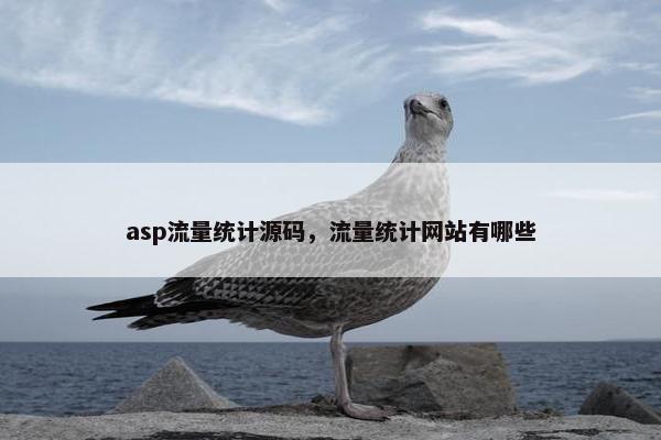 asp流量统计源码，流量统计网站有哪些