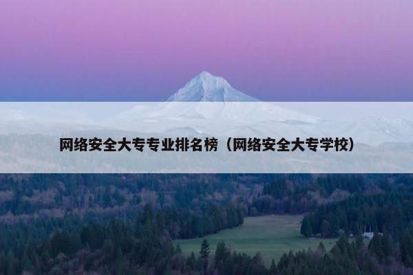 网络安全大专专业排名榜（网络安全大专学校）