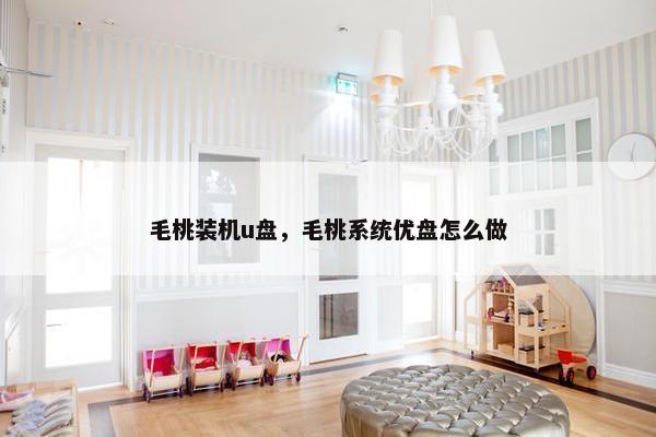 毛桃装机u盘，毛桃系统优盘怎么做