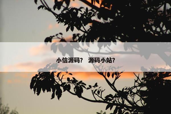 小信源码？ 源码小站？