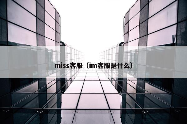 miss客服（im客服是什么）