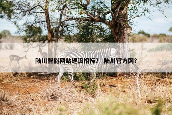 陆川智能网站建设招标？ 陆川官方网？