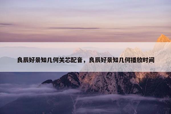 良辰好景知几何关芯配音，良辰好景知几何播放时间