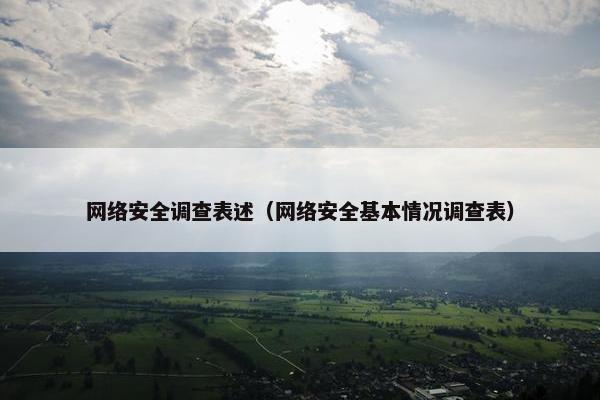 网络安全调查表述（网络安全基本情况调查表）