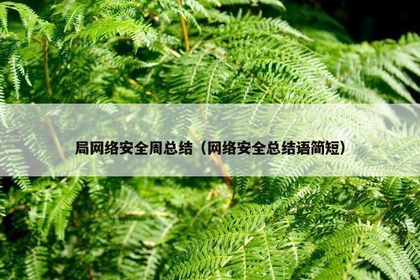 局网络安全周总结（网络安全总结语简短）
