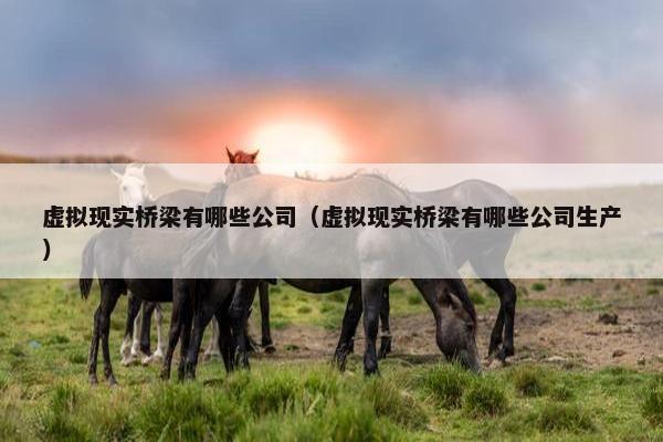 虚拟现实桥梁有哪些公司(虚拟现实桥梁有哪些公司生产) 虚拟现实桥梁有哪些公司(虚拟现实桥梁有哪些公司生产)
