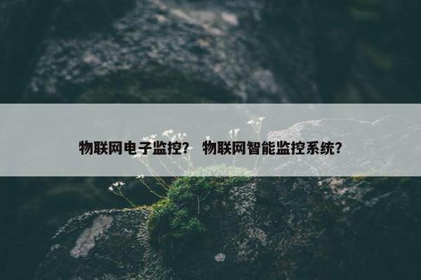 物联网电子监控？ 物联网智能监控系统？