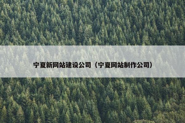 宁夏新网站建设公司（宁夏网站制作公司）