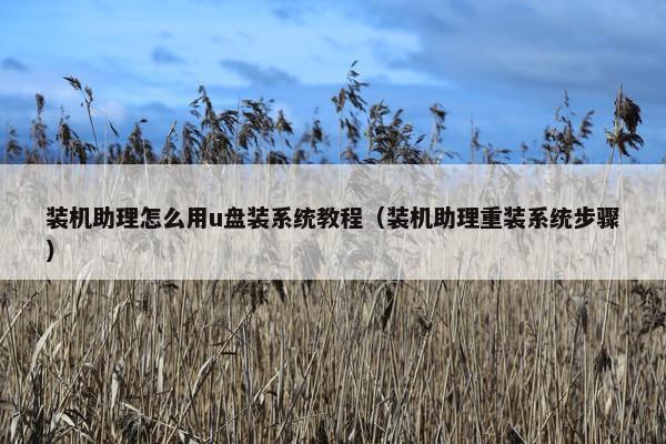 装机助理怎么用u盘装系统教程(装机助理重装系统步骤) 装机助理怎么用u盘装系统教程(装机助理重装系统步骤)