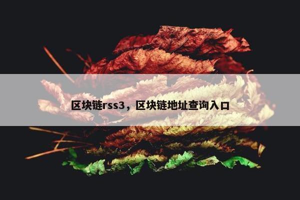 区块链rss3，区块链地址查询入口