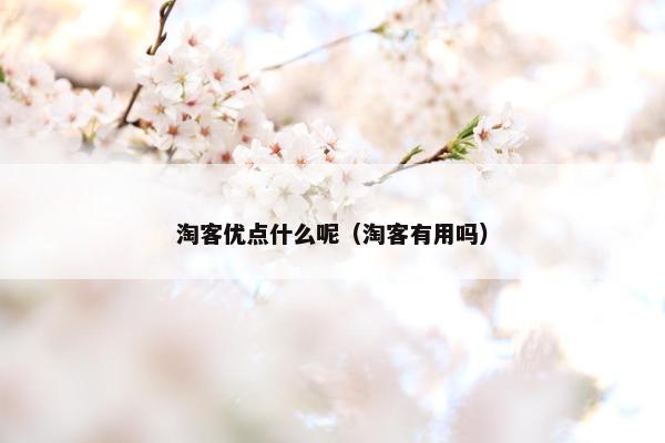 淘客优点什么呢（淘客有用吗）