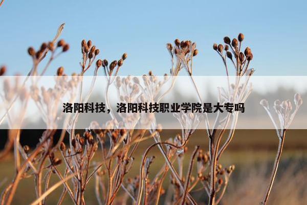 洛阳科技，洛阳科技职业学院是大专吗