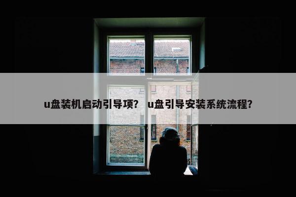 u盘装机启动引导项? u盘引导安装系统流程? u盘装机启动引导项? u盘引导安装系统流程?