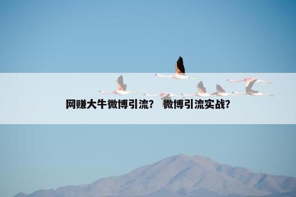 网赚大牛微博引流？ 微博引流实战？