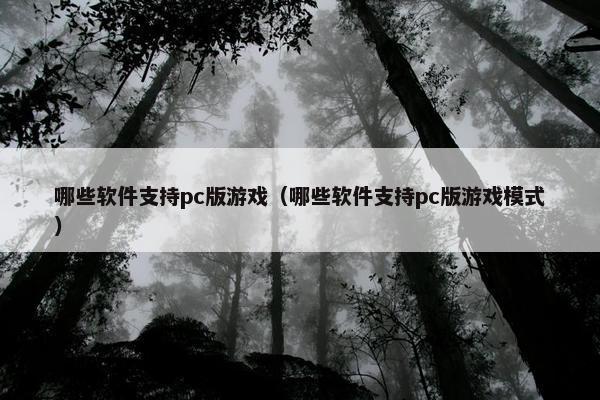 哪些软件支持pc版游戏（哪些软件支持pc版游戏模式）