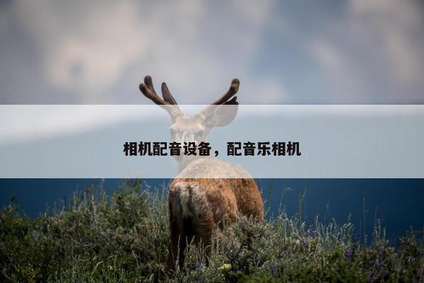 相机配音设备，配音乐相机