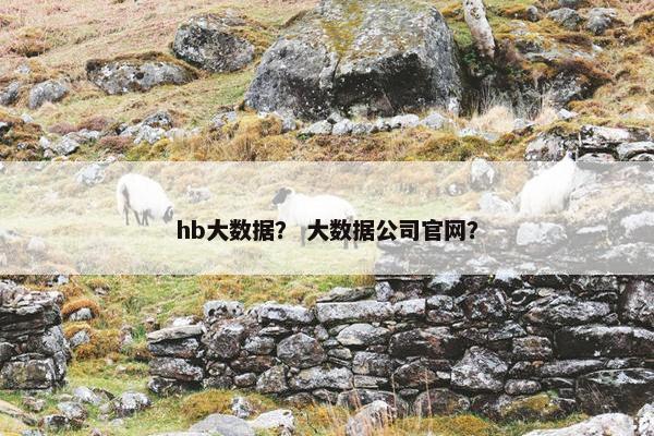 hb大数据？ 大数据公司官网？