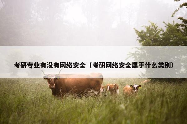 考研专业有没有网络安全（考研网络安全属于什么类别）