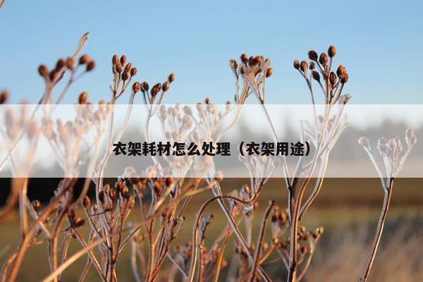 衣架耗材怎么处理（衣架用途）