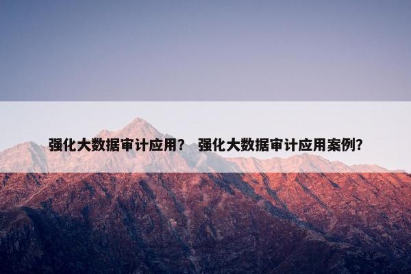 强化大数据审计应用？ 强化大数据审计应用案例？