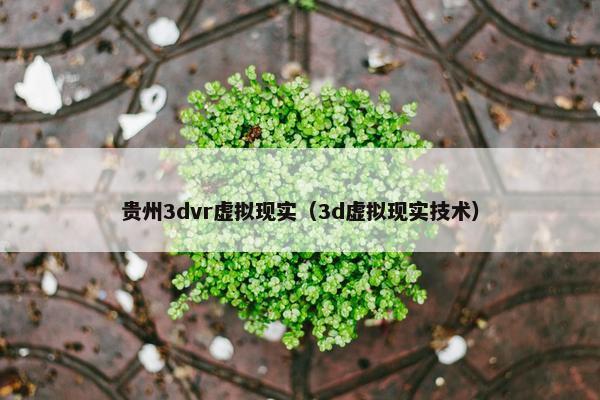 贵州3dvr虚拟现实（3d虚拟现实技术）