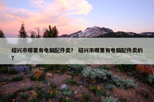 绍兴市哪里有电脑配件卖？ 绍兴市哪里有电脑配件卖的？