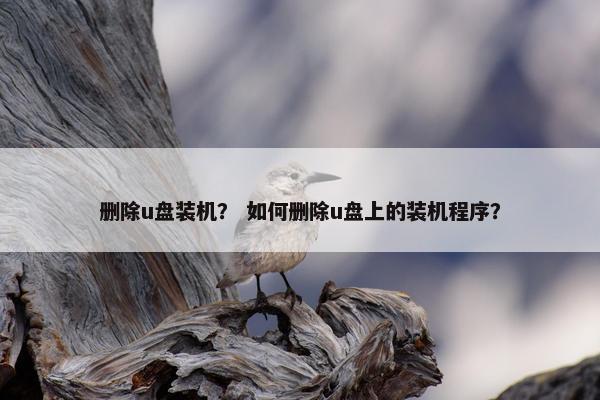 删除u盘装机？ 如何删除u盘上的装机程序？