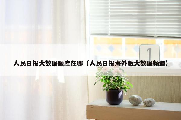 人民日报大数据题库在哪（人民日报海外版大数据频道）