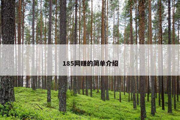 185网赚的简单介绍