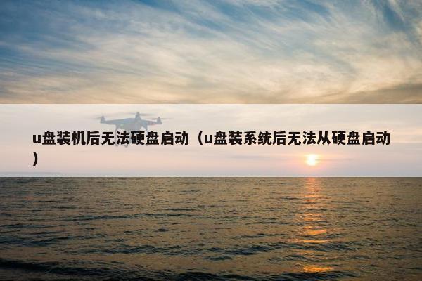 u盘装机后无法硬盘启动（u盘装系统后无法从硬盘启动）