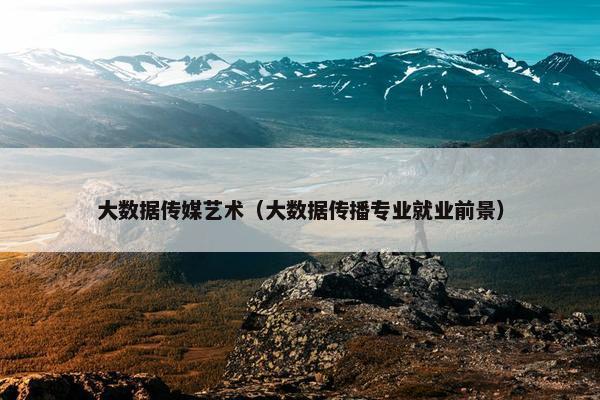 大数据传媒艺术（大数据传播专业就业前景）